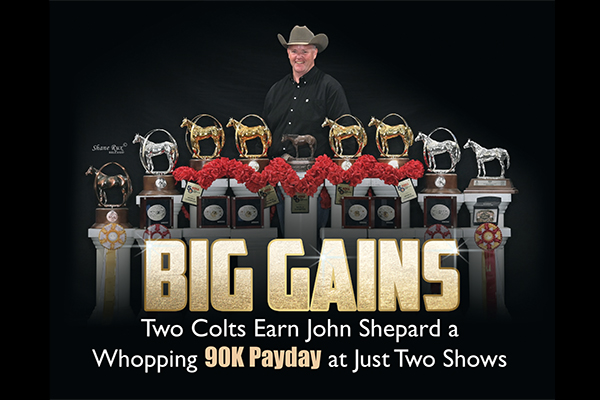 Big Gains: Two Colts Earn John Shepard A Whopping 90K Payday At Just Two Shows