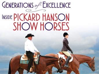Generations Of Excellence – Inside Pickard Hanson Show Horses