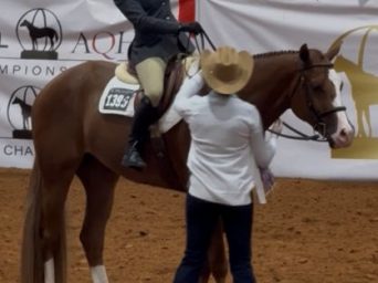 EC Photo of the Day: You and Your Dream