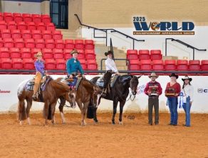 EC Photo of the Day:  1, 2, 3 Sweep for Wilkerson Performance Horses