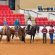 EC Photo of the Day:  1, 2, 3 Sweep for Wilkerson Performance Horses