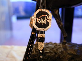 Pennsylvania Quarter Horse Association 2025 Awards Banquet