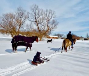 EC Photo of the Day: It’s a Winter-ful Life