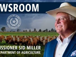 Commissioner Miller Urges Heightened Animal Surveillance as Screwworm Cases Move Closer to Texas