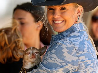 2026 South Carolina QHA Southern Gold Classic Teams Up For Money-Added Futurity Classes