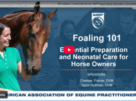 AAEP Presents: Foaling 101: Essential Preparation and Neonatal Care for Horse Owners