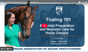 AAEP Presents: Foaling 101: Essential Preparation and Neonatal Care for Horse Owners