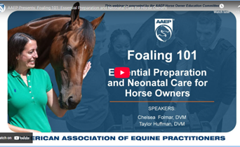 AAEP Presents: Foaling 101: Essential Preparation and Neonatal Care for Horse Owners
