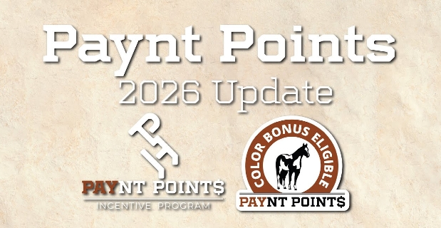Paynt Points Incentive Program — 2026 Update