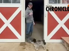 How to Prepare a Foaling Stall with Limelite Show Horses & 831 Ranch