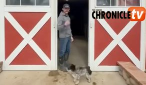 How to Prepare a Foaling Stall with Limelite Show Horses & 831 Ranch