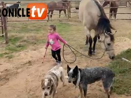 EC Video of the Day: The Thing About Horses