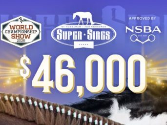 Super Sires All-Breed Purses Coming to 2026 APHA World Show