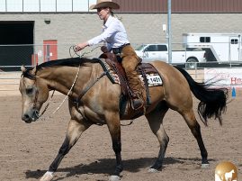 Sun Circuit Debuts NSBA Non Pro Ranch Horsemanship With $500 in Added Money