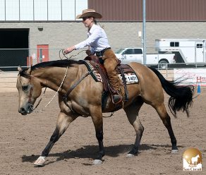 Sun Circuit Debuts NSBA Non Pro Ranch Horsemanship With $500 in Added Money