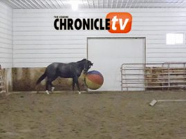 EC Video of the Day: Boys and Their Toys