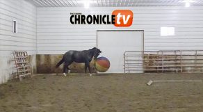 EC Video of the Day: Boys and Their Toys