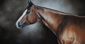 New Classes Added at 2026 Orange Blossom Classic & A Sudden Impulse