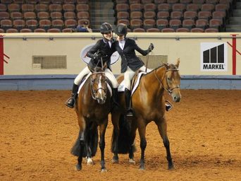 EC Photo of the Day: Throwback to 2016 AQHYA World