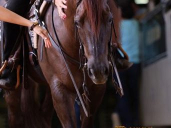 EC Photo of the Day: Live Your Life