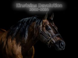 In Honor of Einsteins Revolution, 2002-2026