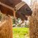 Hay Nets and Slow Feeders for Horses: Pros and Cons
