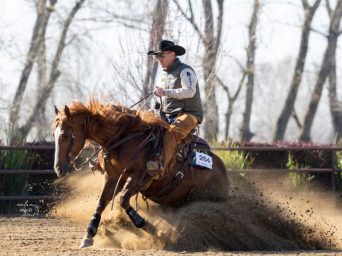 EC Photo of the Day: Go Bold