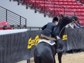 EC Photo of the Day: It’s Monday Again