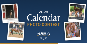 NSBA Foundation Photo Contest
