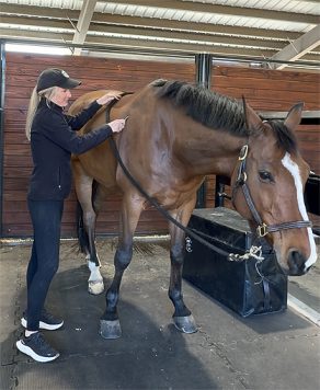 The Power of Fascia: Supporting Elastic, Efficient Movement