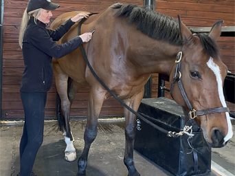 The Power of Fascia: Supporting Elastic, Efficient Movement