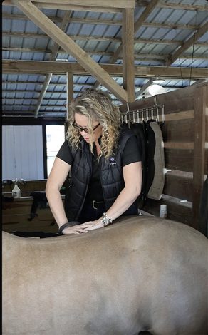 Topline as a System: Building Strength That Lasts