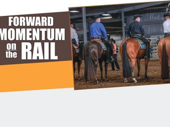 Forward Momentum On The Rail