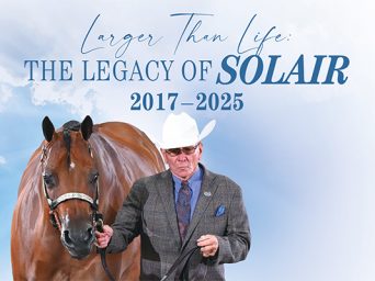 Larger Than Life: The Legacy Of Solair, 2017-2025