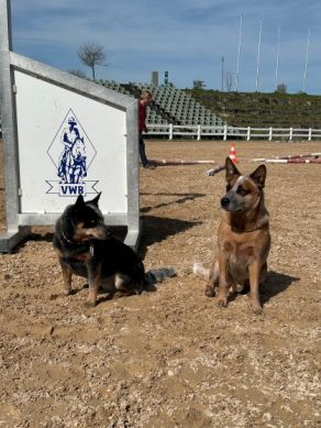 EC Photo of the Day: Helpful Aussies in Germany