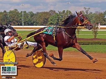 Breaking Free: The World’s Fastest Trotter Heads into Hunt Seat at Pinto World