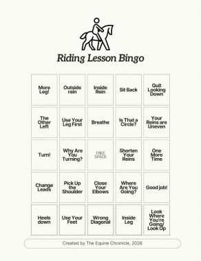 Riding Lesson Bingo Card