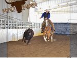 Around the Rings: The 2026 Premier AQHA/ VRH Cattle Classic