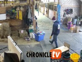 EC Video of the Day: Must Keep Warm!