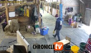 EC Video of the Day: Must Keep Warm!