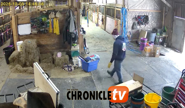 EC Video of the Day: Must Keep Warm!