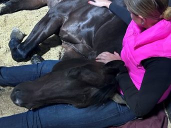 EC Photo of the Day: My Horse Feeds My Soul