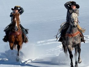 EC Photo of the Day:  The Gift of Winter