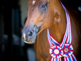 EC Memory Lane Monday: In Memory of One Hot Drama Mama — Remembering a Trail Legend