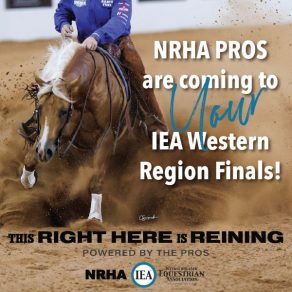 NRHA Pros Head to 2026 ﻿IEA Western Regional Finals