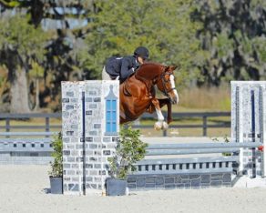 American Quarter Horse Awards Added to USHJA Amateur Hunter Championships