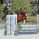 American Quarter Horse Awards Added to USHJA Amateur Hunter Championships