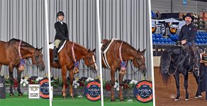 NSBA Announces 2025 Horse of the Year Awards