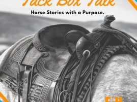 Feeding the Insulin Dysregulated Horse: The story of checking blood and doing your math