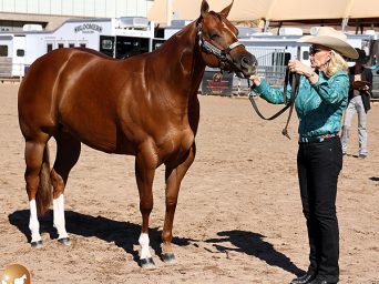 Innovation and Tradition Combine in Another Successful Sun Circuit